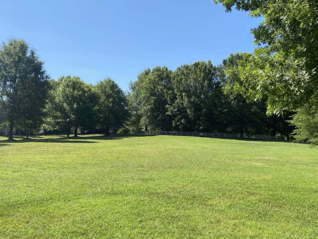 Wide open, natural grass field for playing and enjoying a common space in N. Fields Circle in Lake Hogan Farms within the town of Carrboro, North Carolina. (July 2020)